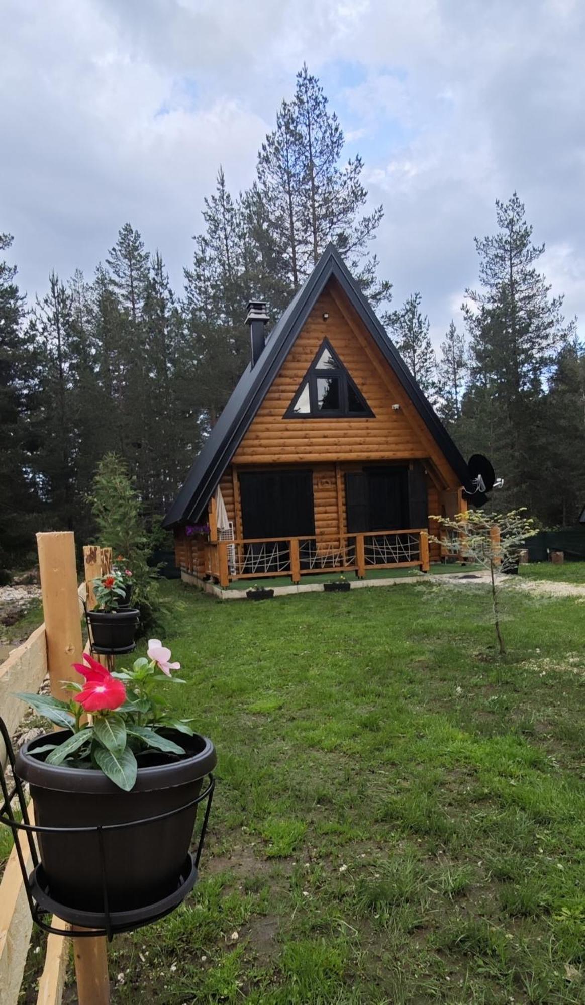 Pine Forest-White Žabljak Exterior foto